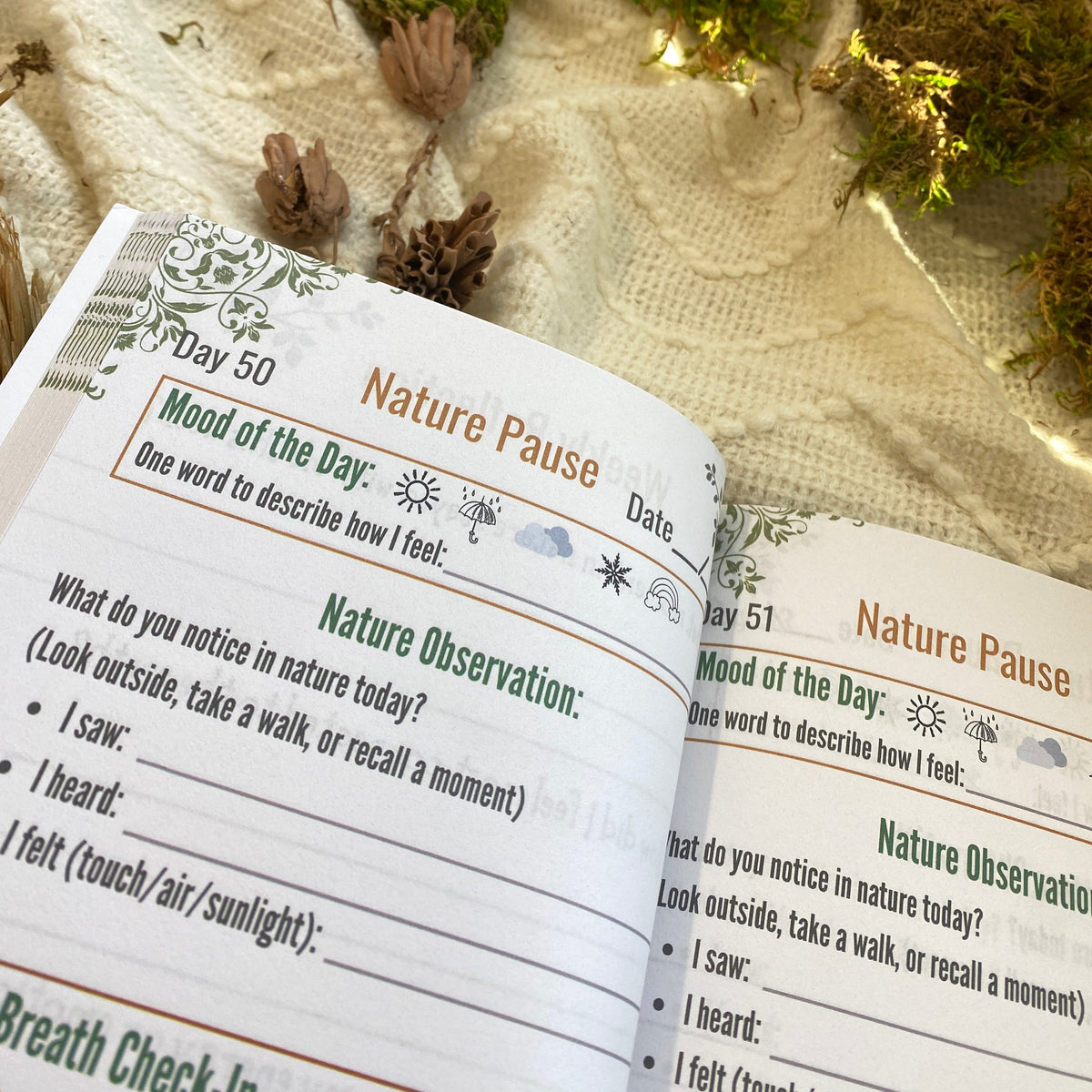 Nature Pause Journal